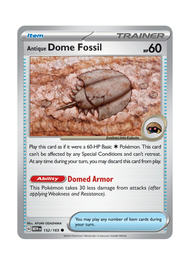 Antique Dome Fossil – 151 (152)