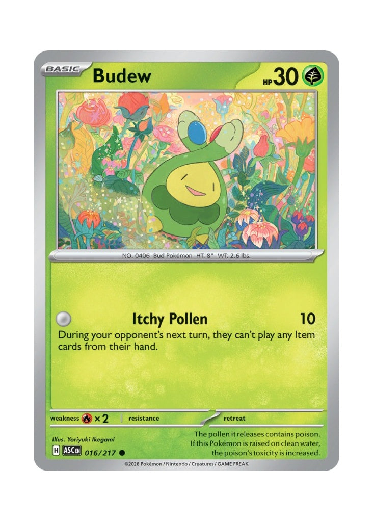 Budew – Ascended Heroes (016)