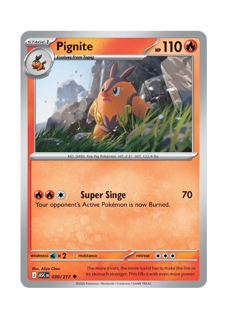 Pignite – Ascended Heroes (030)