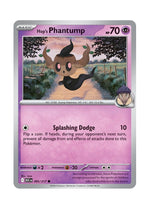 Hop’s Phantump – Ascended Heroes (095)