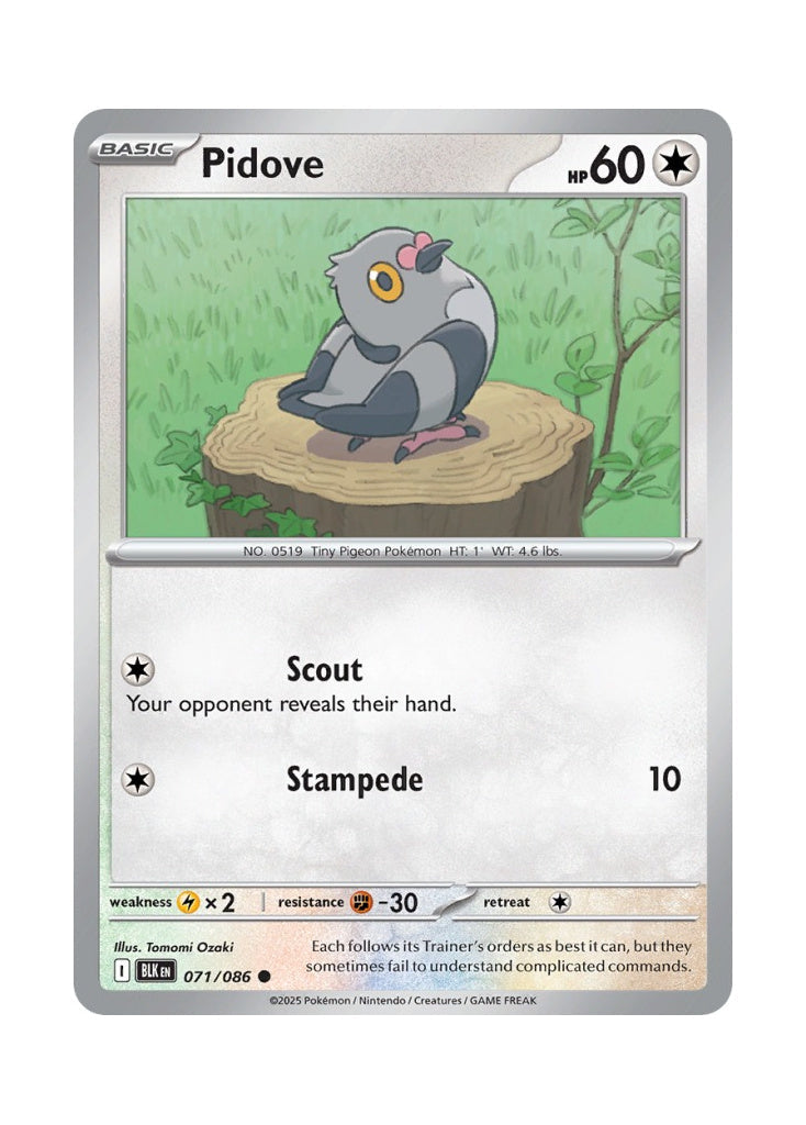 Pidove – Black Bolt (071)