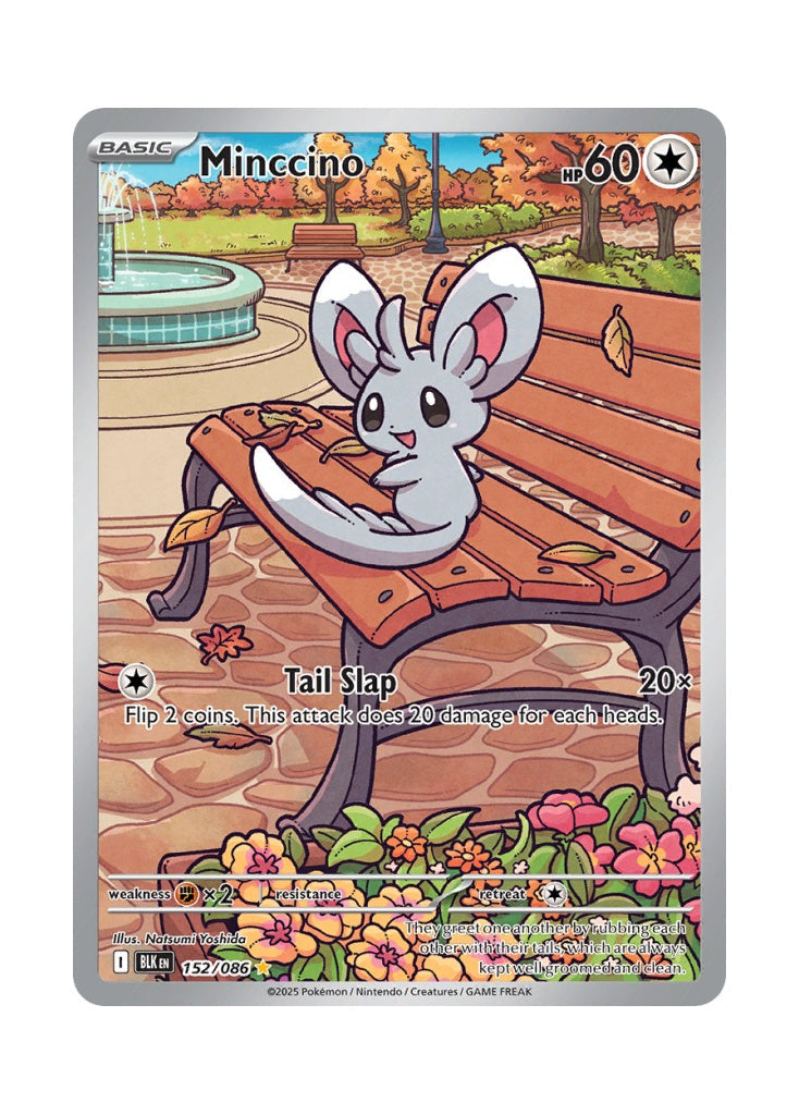 Minccino – Black Bolt (152)