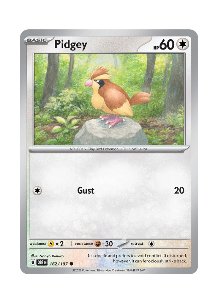 Pidgey – Obsidian Flames (162)