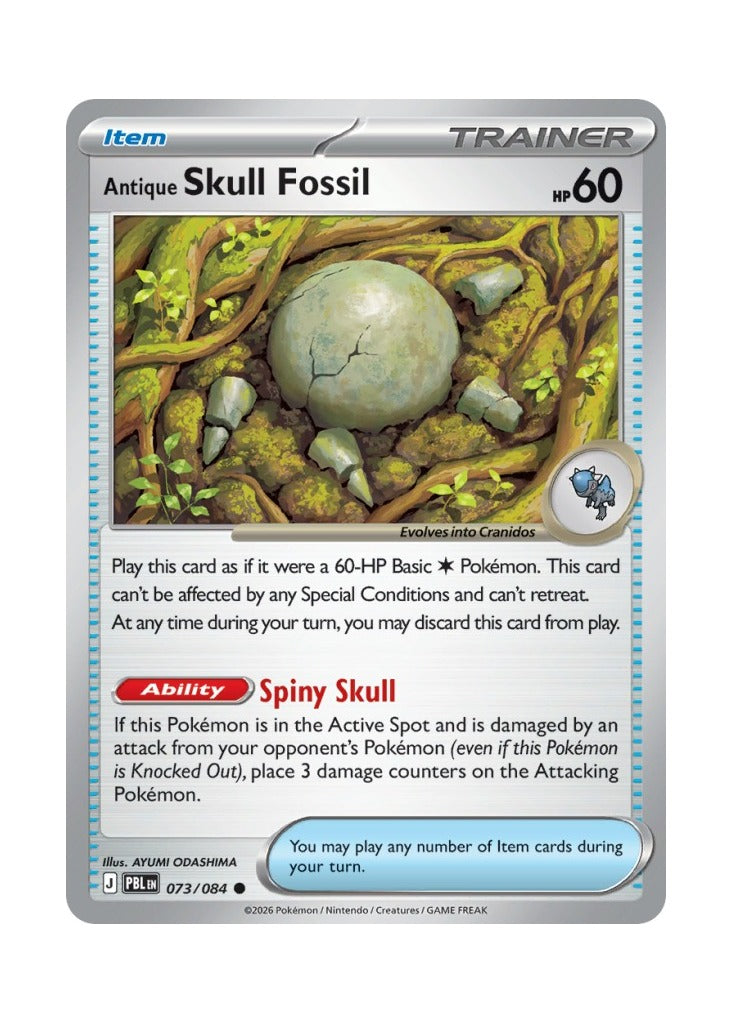 Antique Skull Fossil – Pitch Black (073)