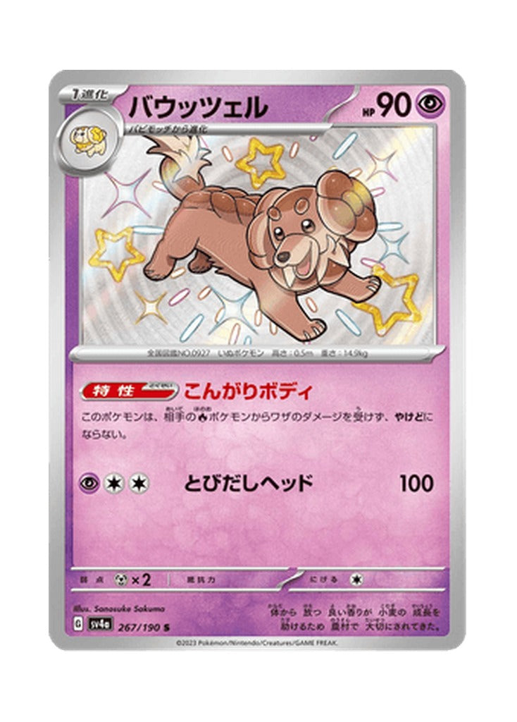 Dachsbun – Shiny Treasure ex (267) (Japanese)