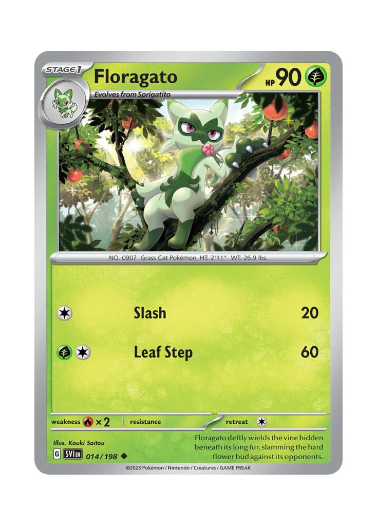 Floragato – Scarlet & Violet (014)