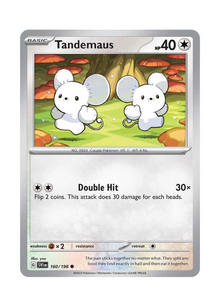 Tandemaus – Scarlet & Violet (160)